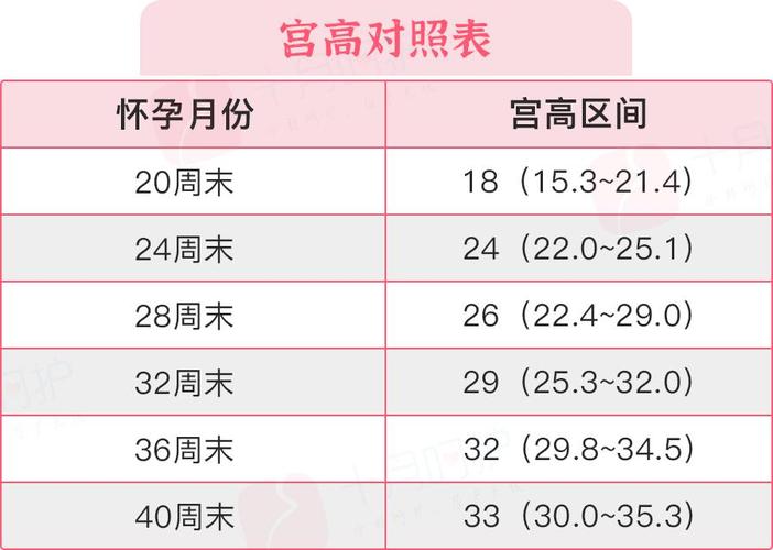 供卵女孩年龄(供卵女孩：年龄与生育的关系)