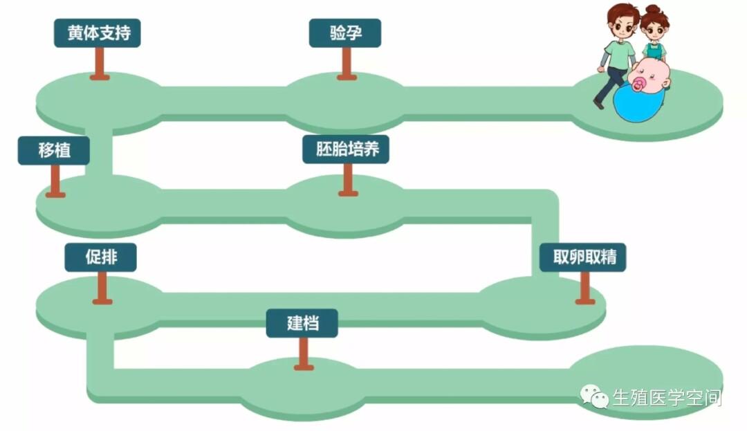 供卵试管需要什么条件-供卵试管:条件是什么?