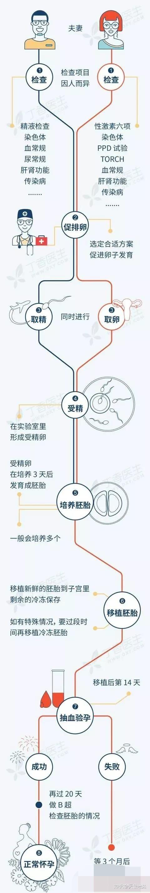 借卵代生子(借卵代生子：生育之路的选择与挑战)
