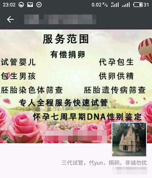 供卵试管代怀选性别包成功_供卵试管代怀选性别包成功:实现你梦寐以求的宝宝性别